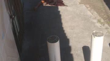 Reprodução/ Leitor Bnews