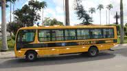Reprodução/Vale Mais Noticia