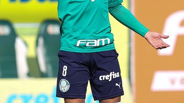 Reprodução/Flickr/Palmeiras