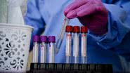 Arquivo BNews