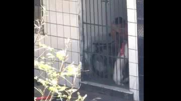 Reprodução/vídeo