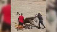 Reprodução/YouTube