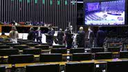Najara Araújo/Câmara dos Deputados