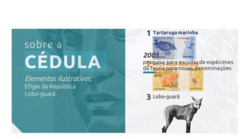 Divulgação/Banco Central