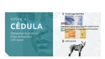 Divulgação/Banco Central