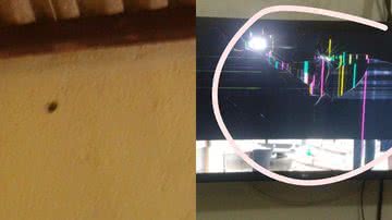 Montagem BNews