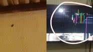 Montagem BNews