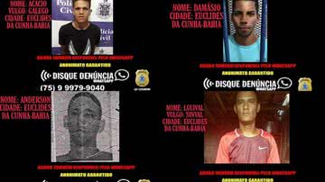 Montagem BNews