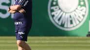 Divulgação/Palmeiras