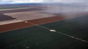 Reprodução/ Conexão Planeta