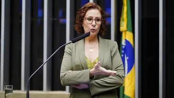 Pedro Valadares/Câmara dos Deputados