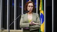 Pedro Valadares/Câmara dos Deputados