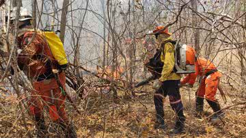 Ascom / Bombeiros