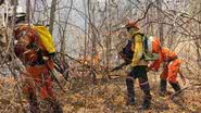 Ascom / Bombeiros