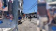 reprodução // YouTube