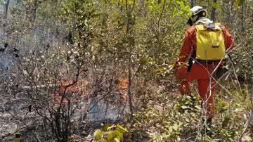 Reprodução/Corpo de Bombeiros Militar da Bahia