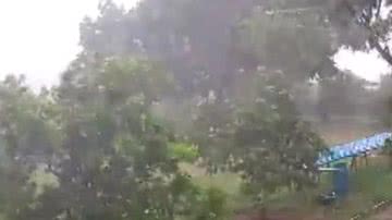 Reprodução/TV Bahia