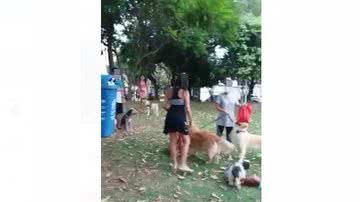 Reprodução/Youtube