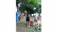 Reprodução/Youtube