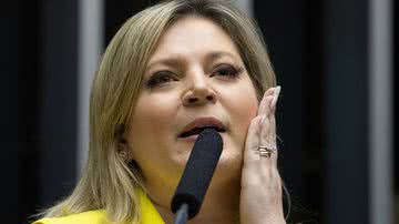 Lula Marques Câmara dos Deputados