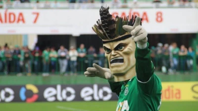 Divulgação