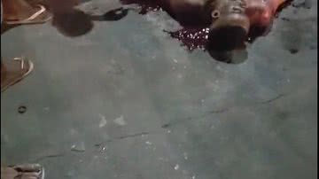 Reprodução/ Leitor Bnews