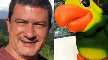 Divulgação