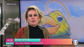 Reprodução/TV Globo