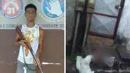 Montagem BNews