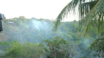 Dinaldo Silva/ BNews