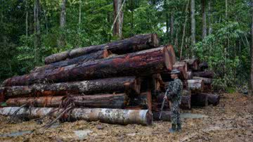 Reprodução/Felipe Werneck/Ibama