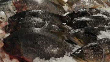 Reprodução/Agência Brasil