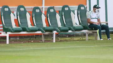 Cesar Greco/Palmeiras