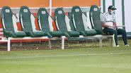 Cesar Greco/Palmeiras