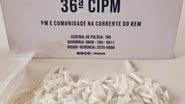 Divulgação/SSP-BA