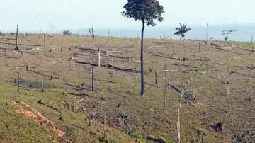 Arquivo/Agência Brasil