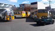 Reprodução/Sindoviários