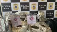 Divulgação/ Policia
