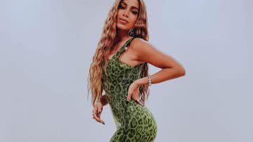 Reprodução/ Instagram @anitta