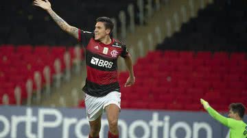 Alexandre Vidal/Flamengo