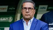 Divulgação / Palmeiras