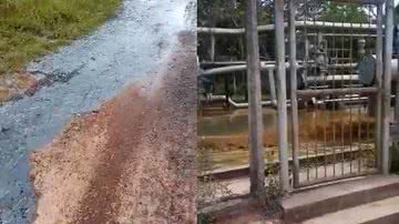 reprodução // Twitter