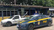 Divulgação / PRF-BA