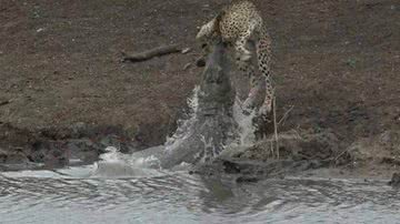 Reprodução / Facebook