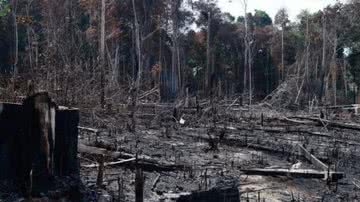 Arquivo/Agência Brasil