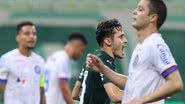 Reprodução/ Cesar Greco / Palmeiras