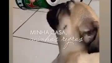 Reprodução/ Redes sociais