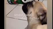 Reprodução/ Redes sociais