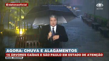 Reprodução/TV