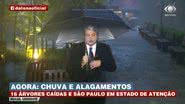 Reprodução/TV